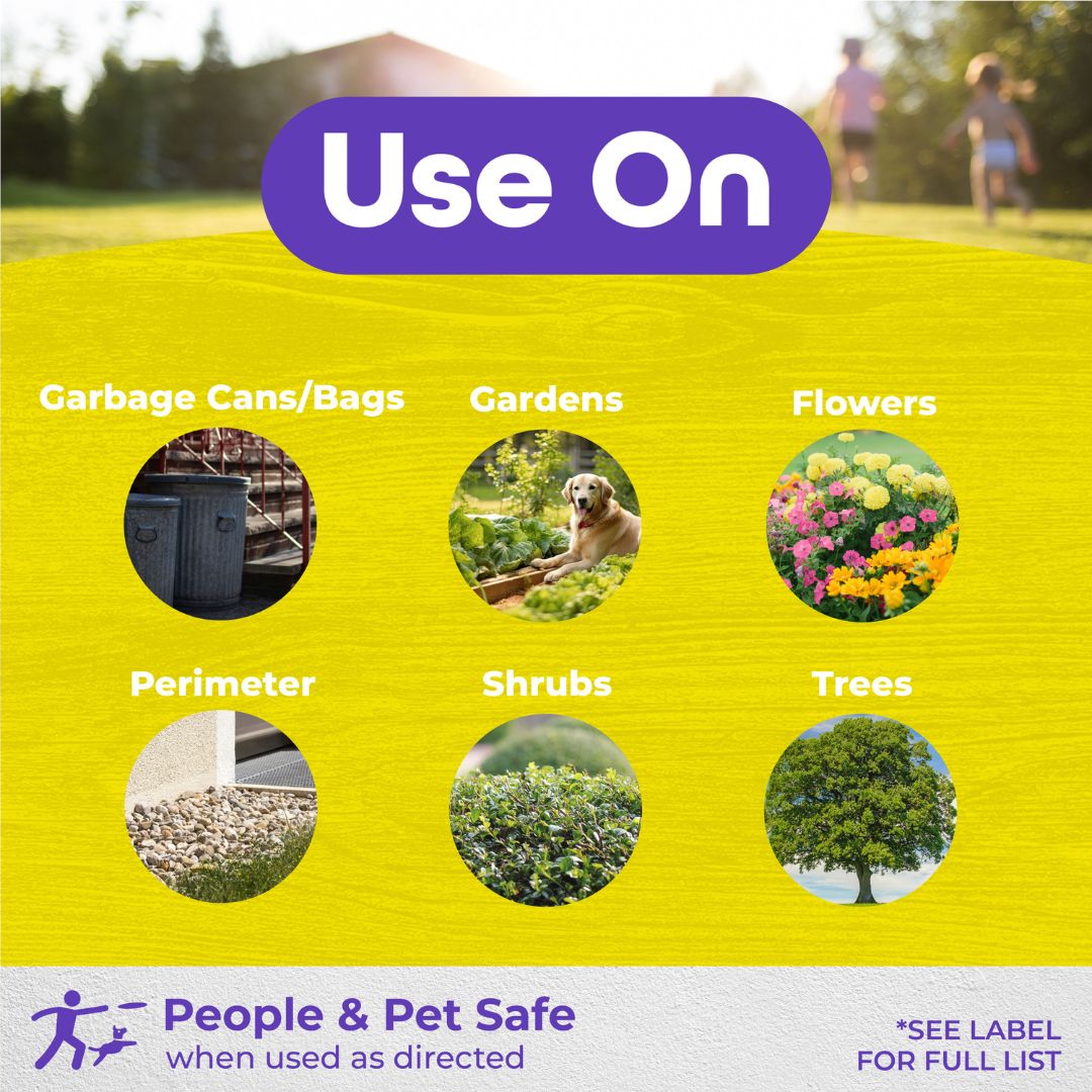 Go Away! Rabbit, Dog & Cat Repellent Granules – Bonide – 3 lb